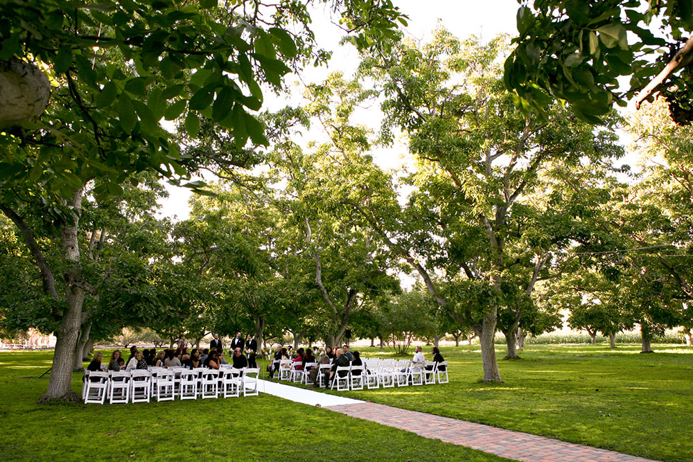 Metro Detroit Wedding Photographer www.harthenstudios.com