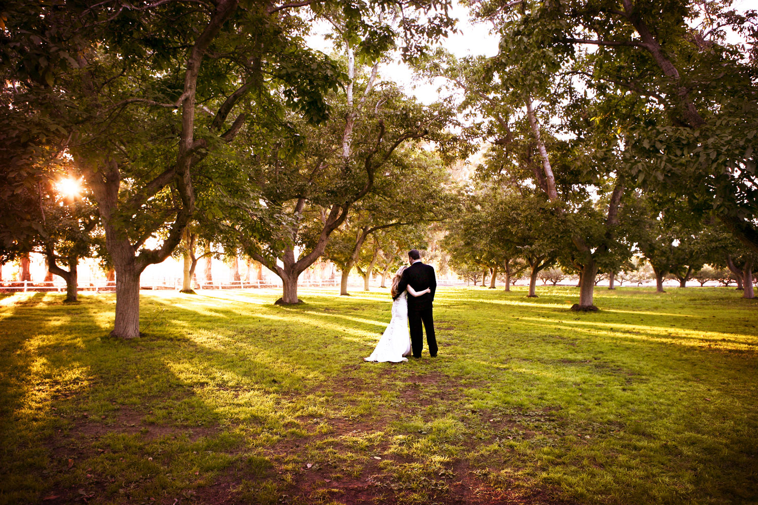 Metro Detroit Wedding Photographer www.harthenstudios.com